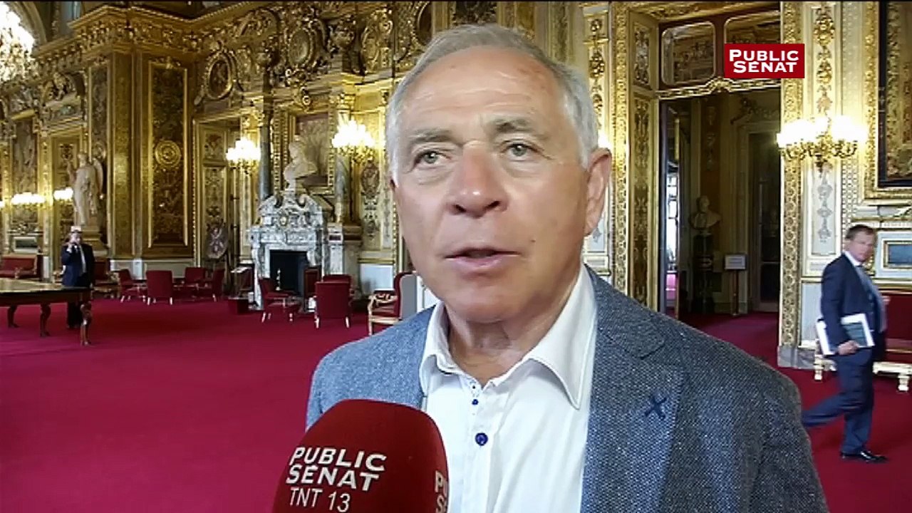 D'après François Patriat, Macron est dans un "processus médiatique" et sa candidature n'est jamais évoquée