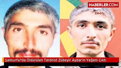 Şanlıurfa?da Öldürülen Terörist Zübeyir Aydar'ın Yeğeni Çıktı