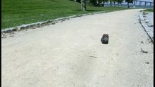 Steps - (stop motion)
