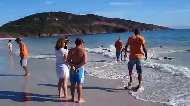 Stava filmando la spiaggia quando all'improvviso accade l'incredibile!