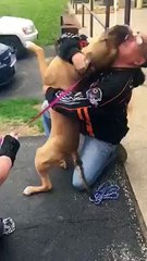 Un homme retrouve son chien volé après 2 ans de séparation