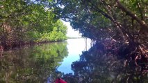 Las Aventuras del Club Aqua Sports Kayaks en Puerto Rico