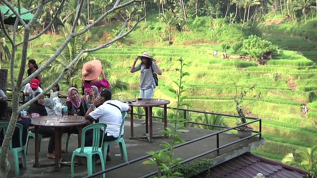 Le business des Rizières en terrasses
