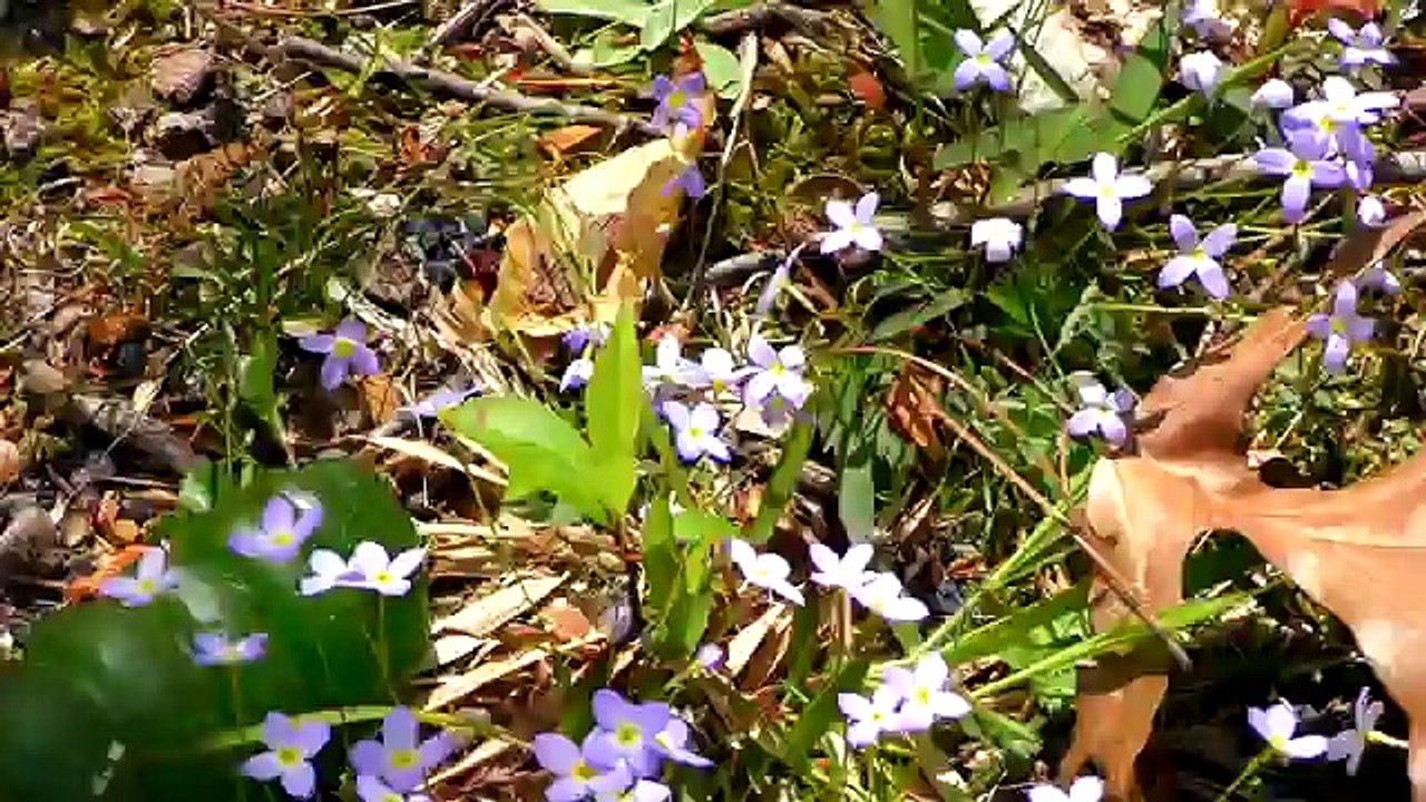 SUPERHERO Biking Adventure - BATMAN Pranks SPIDERMAN - Fun Super Hero Videos by DCTC