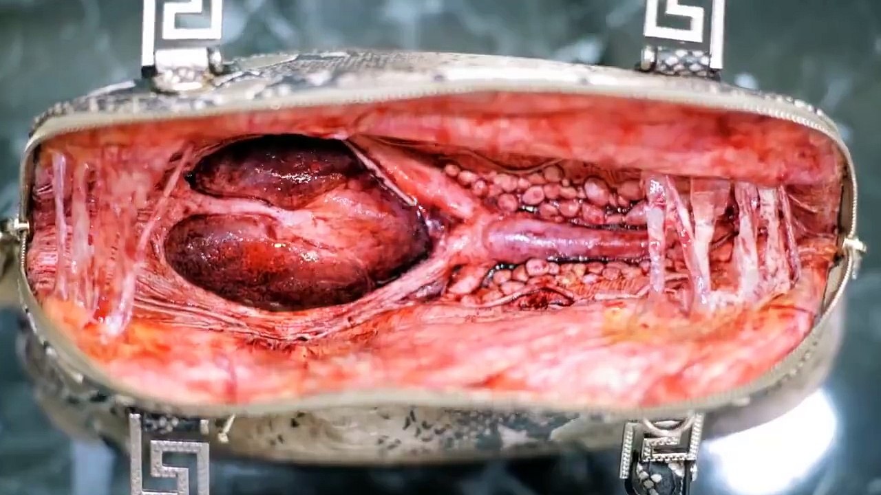 A verdade sobre as peles