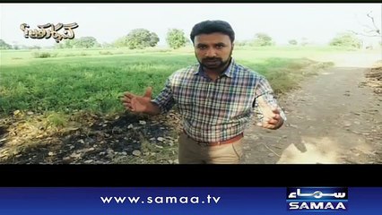 Pasand Ki Shadi - Gunahgar Kaun – 12 May 2016