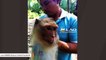 Rescue Group Finds Terrified Macaque In Narrow Metal Tube