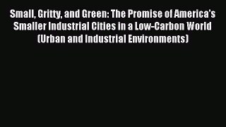 Read Small Gritty and Green: The Promise of America's Smaller Industrial Cities in a Low-Carbon