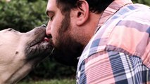 Dogs Kiss Their Humans In Slow Motion