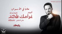 علي الدلفي يالمسافر اصدار غرامك شهد