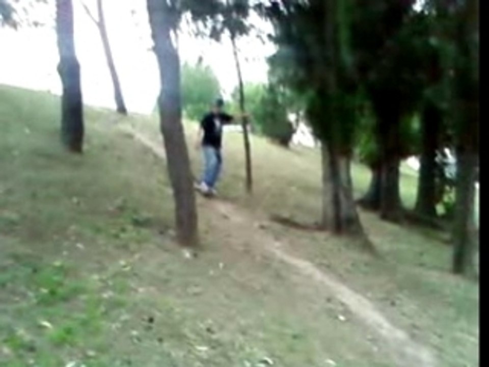 Jackasse toma