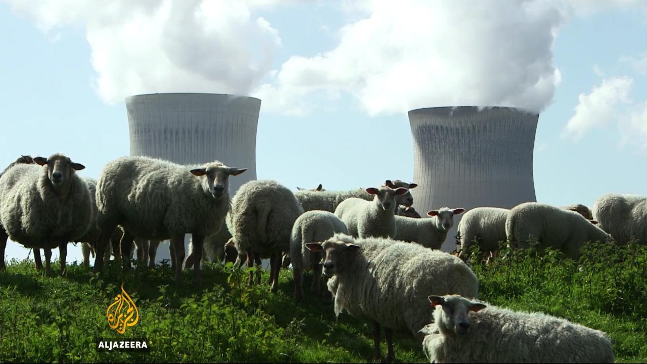 Radioactivity drug handouts prompt fear in Belgium