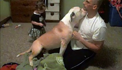 Papà stava giocando con il cane sul tappeto, ma quando la sua piccola bambina appare...