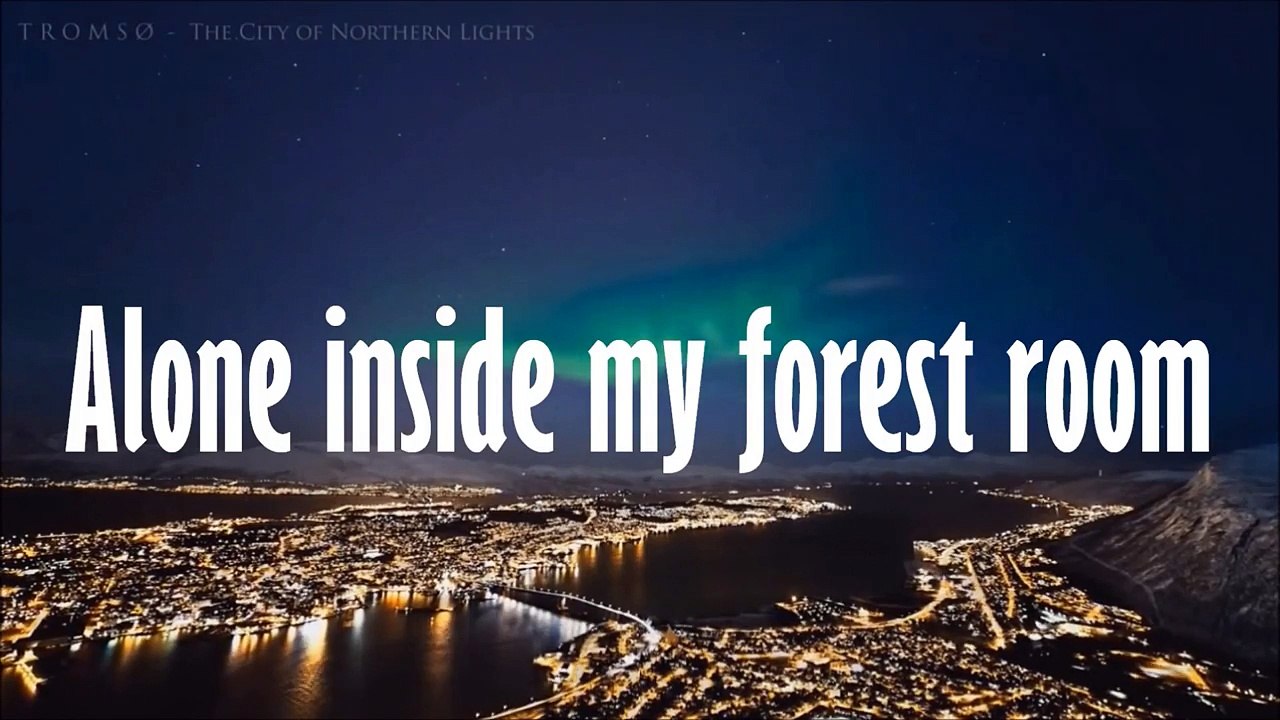 Red Hot Chili Peppers - Stadium Arcadium Cover (LYRIC VIDEO)