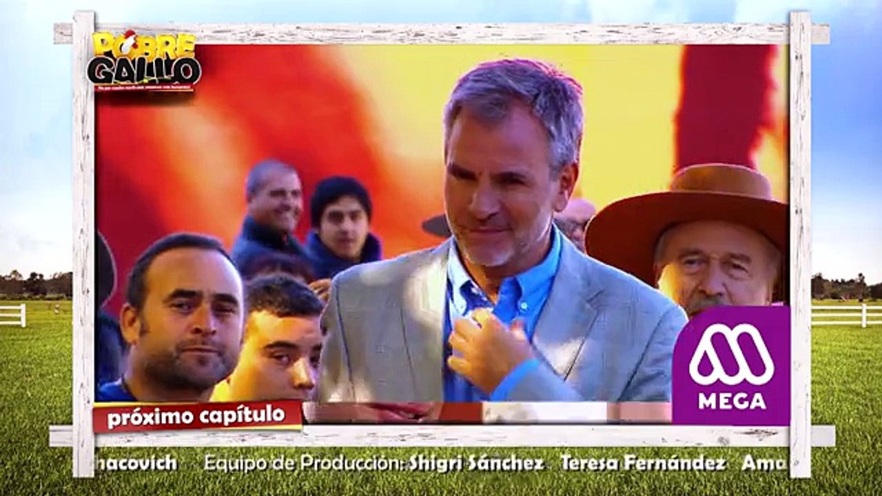 90 Avance Pobre Gallo