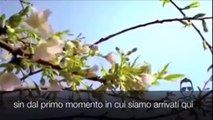 3 Minuti Che Vi Cambieranno La Vita! Guardando Il Video, Ad Un Tratto Sono Scoppiato A Piangere!