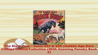 PDF  The Black Fury  Issue 003  005 Golden Age Rare Vintage Comics Collection With Zooming Ebook
