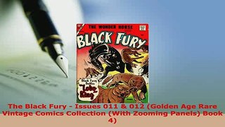 Download  The Black Fury  Issues 011  012 Golden Age Rare Vintage Comics Collection With Zooming Read Online