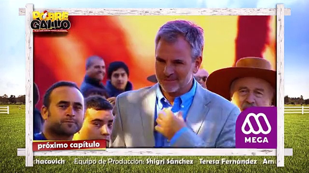 90 Avance Pobre Gallo