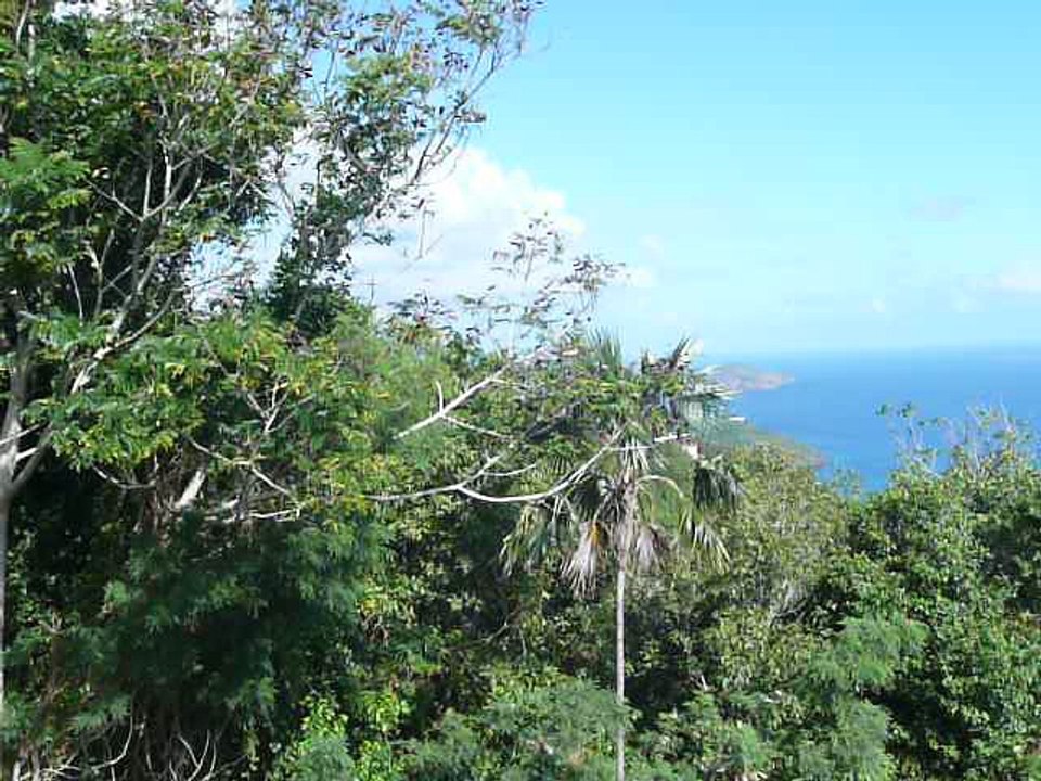 ST. THOMAS 003 P1080223