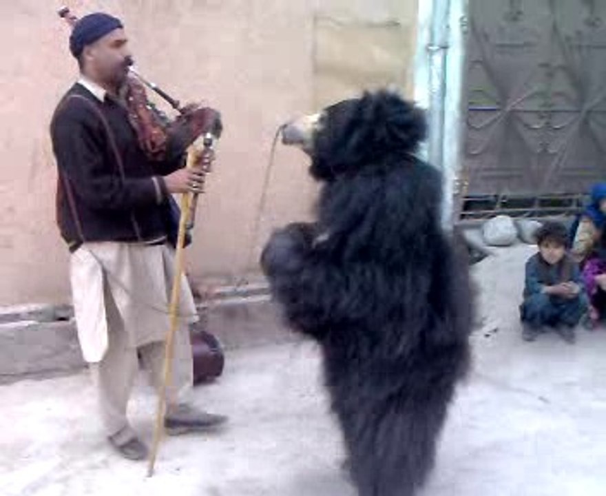 Bear Dance