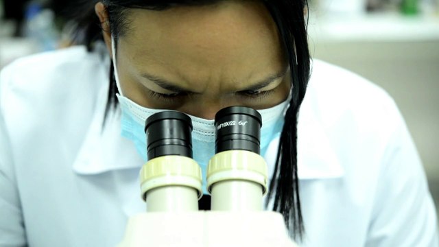 OMS recomenda que grávidas evitem o Brasil