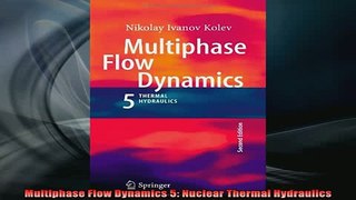 READ book  Multiphase Flow Dynamics 5 Nuclear Thermal Hydraulics Full Free