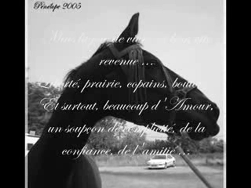 Pour toi ...