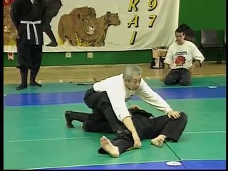 Masaaki Hatsumi Ninpo