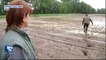 Alsace: les intempéries perturbent les récoltes des agriculteurs