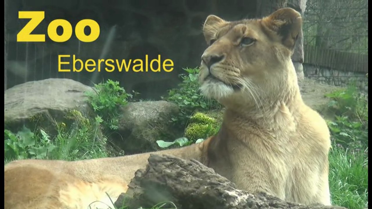 Eberswalder Zoo