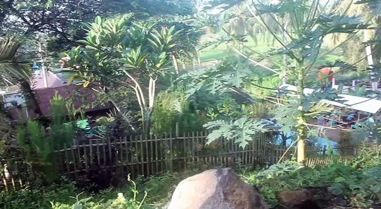 Serunya Kemah Tiga Hari 2016 di Cisolong, Pandeglang, Banten