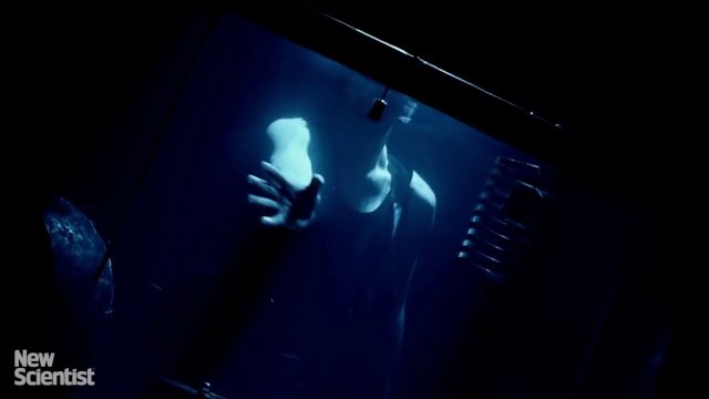 Premier concert sous l'eau ! Violon, chant, percussions...