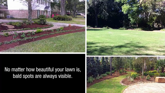 Archer Lawns: Presenting Professional And Courteous Lawn Services