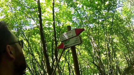 Nepi, passeggiata tra le Forre