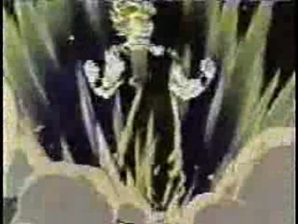 AMV - DBZ - Faint