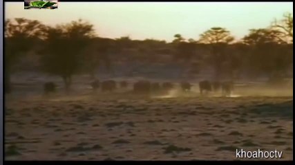 Le chef pompier revient sur le décès de la fille d’un employé 123456 (1)