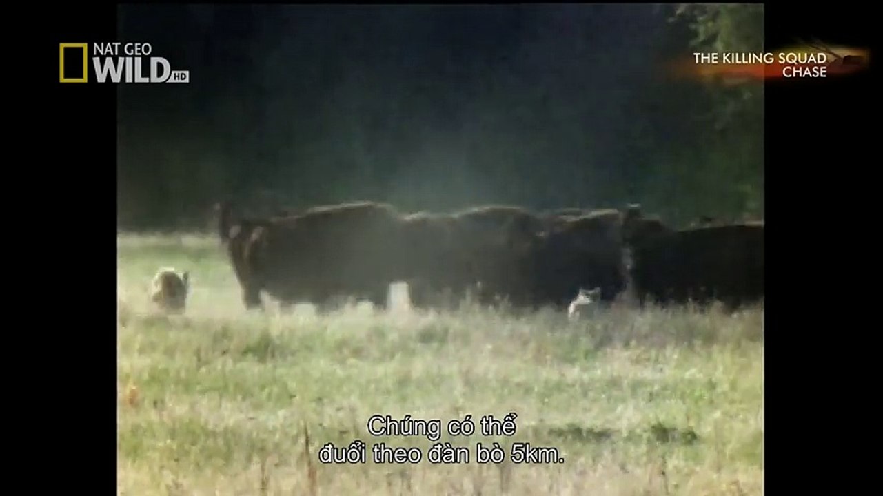 Indoor Playground Family Fun for Kids Play Center Slides Playroom with Balls (5)