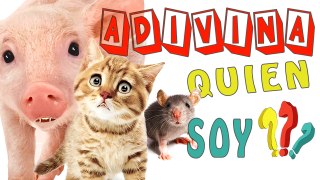 ADIVINA QUIÉN SOY / VIDEOS PARA NIÑOS EN ESPAÑOL/ APRENDER A RECONOCER LOS ANIMALES