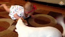 Dog tries to teach baby how to crawl