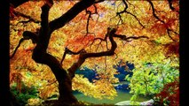 Autumn Japanese Garden in Portland, United States (25 photos)