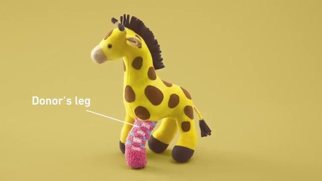 Des peluches greffées dans une campagne pour le don d'organes chez les enfants - campagne de sensibilisation