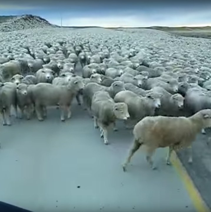 Un atasco diferente