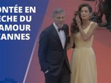 Julia Roberts et George Clooney illuminent Cannes