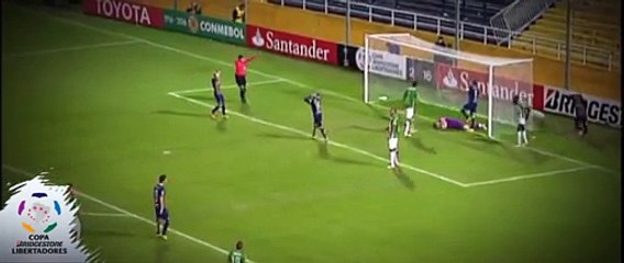 Increible atajada de Franco Armani vs Rosario Central Copa Libertadores 2016