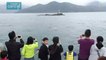 Les dauphins roses du port de Hong sont menacés