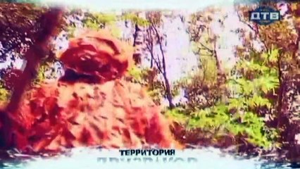 Территория призраков. Про лешего