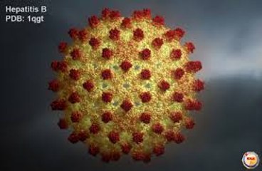 The different types of viruses that cause viral hepatitis as well as their different characteristics