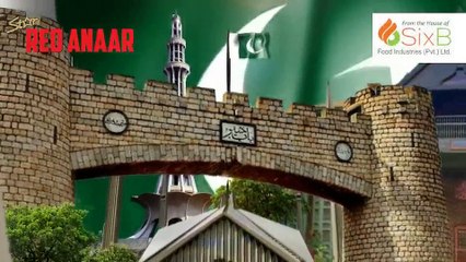 Red Anaar Pakistani Product (  Six B Food Industries ( Pvt )