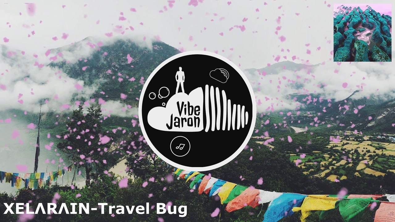XELARAIN-Travel Bug